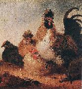 Aelbert Cuyp Rooster and Hens. painting